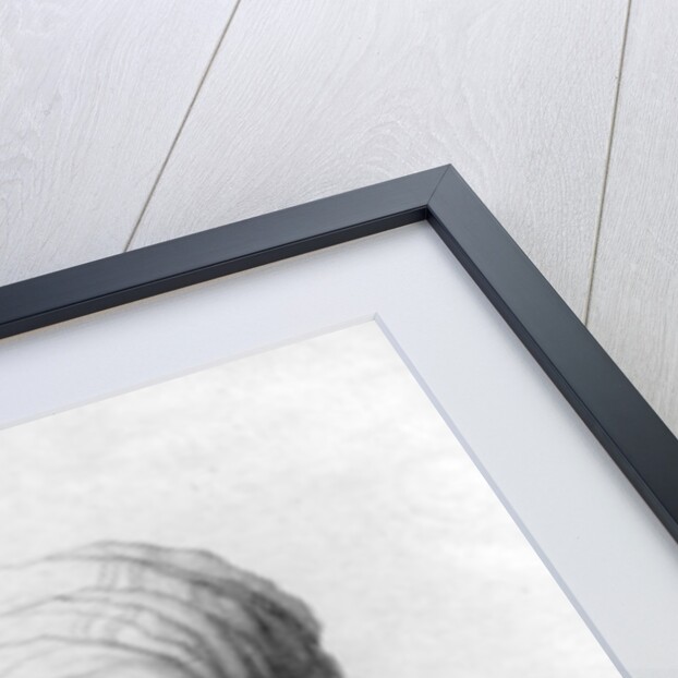 Portrait of Giovanni Batista Belzoni by School English