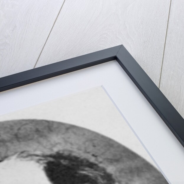 Charles Dickens, c.1863 by Robert Hindry Mason