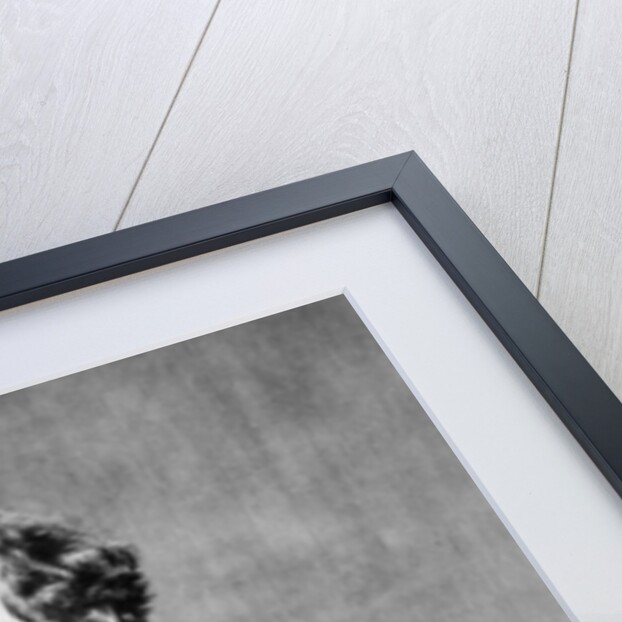 Charles Dickens, 1861 by Herbert Watkins