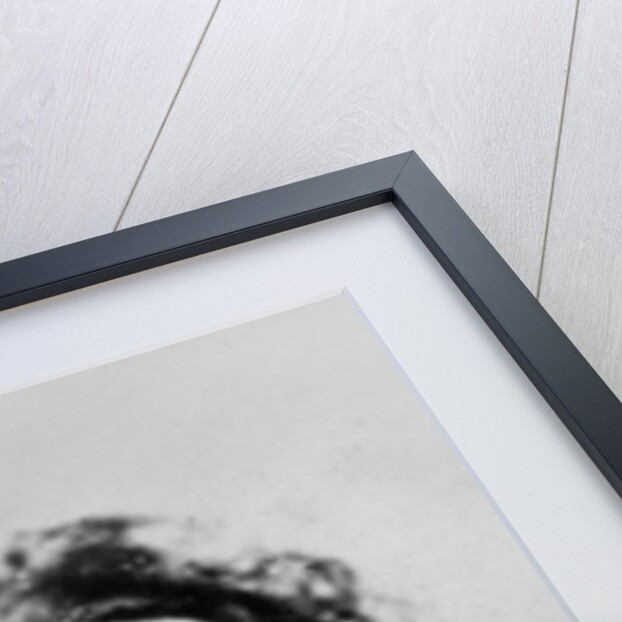 Charles Dickens, c.1853 by John Jabez Edwin Paisley Mayall