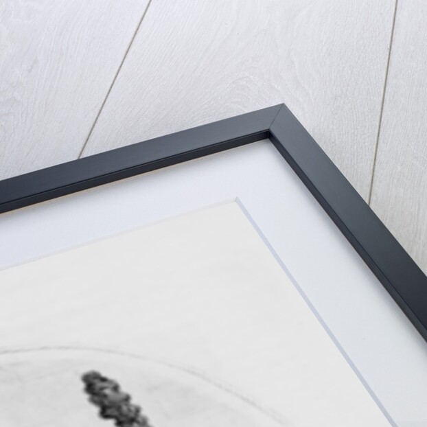 The Modern Hercules destroying the Hydra of Fanatacism, 1789 by John Kay