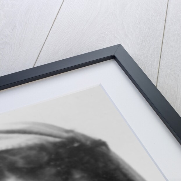 Johnston Forbes-Robertson as Leontes, 1887 by English Photographer