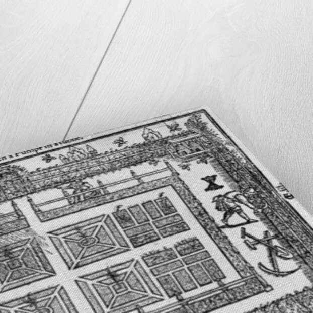 The maner of watering with a pumpe in a tubbe by Thomas Hill