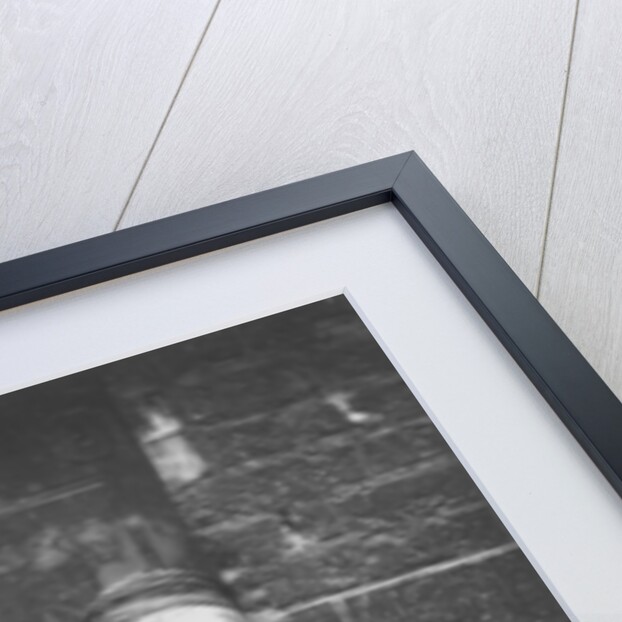 The Crawlers by John Thomson