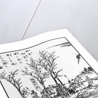 Napoleon going to be killed by assassins by Japanese School