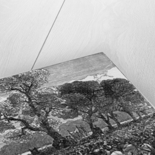 Meeting at the Reformer's Tree, Hyde Park London, 1867 by English School