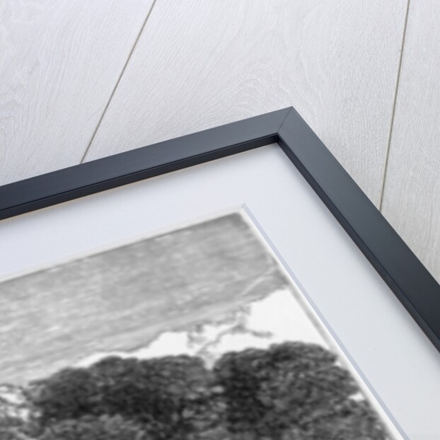 Meeting at the Reformer's Tree, Hyde Park London, 1867 by English School