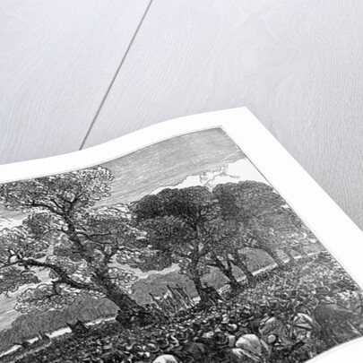 Meeting at the Reformer's Tree, Hyde Park London, 1867 by English School