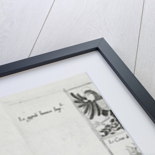 Banners at the Funeral Procession of Emperor Charles V, 1559 by Jan van & Doetechum Lucas van& Bol Hans Doetechum the elder