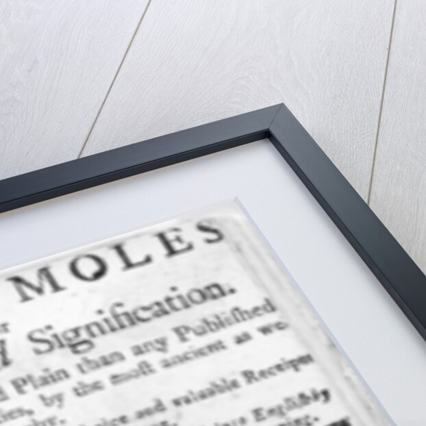Dreams and Moles, titlepage, c.1750 by English School