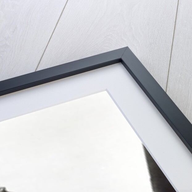 Victoria Street, London c.1900 by English Photographer