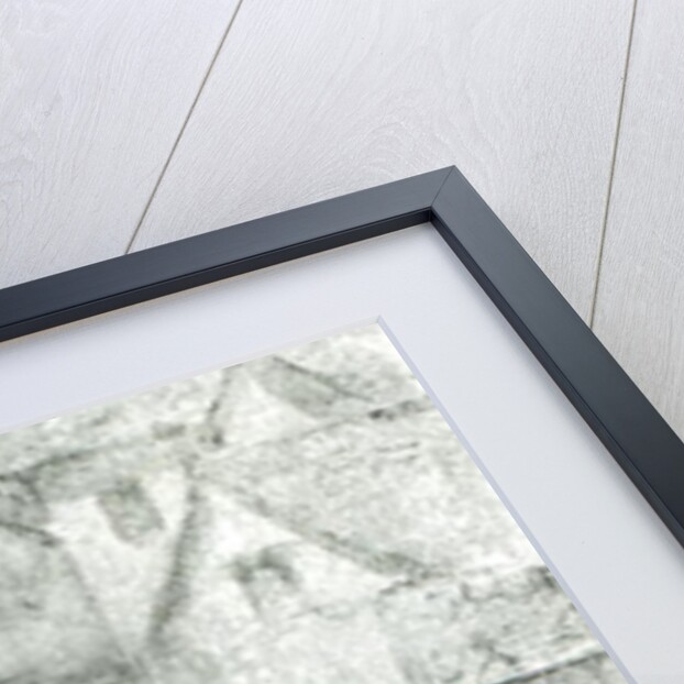 Fetching Water from the River from 'London Street Arabs' by Dorothy Tennant, 1890 by Dorothy nee Tennant Stanley