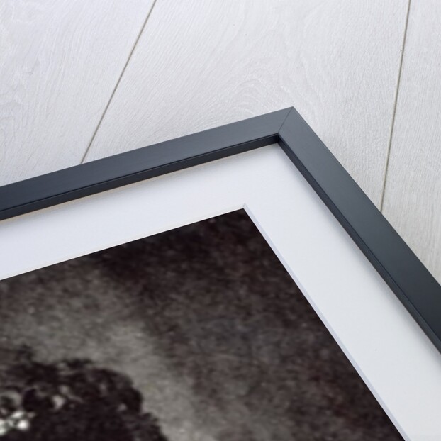 Emily Faithfull by English Photographer