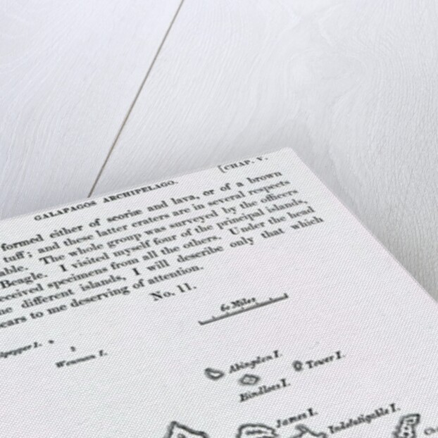 Map of the Galapagos Archipelago, 1844 by English School