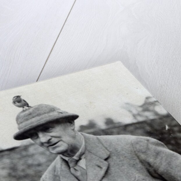 Edward Grey, 1st Viscount Grey of Fallodon by English Photographer