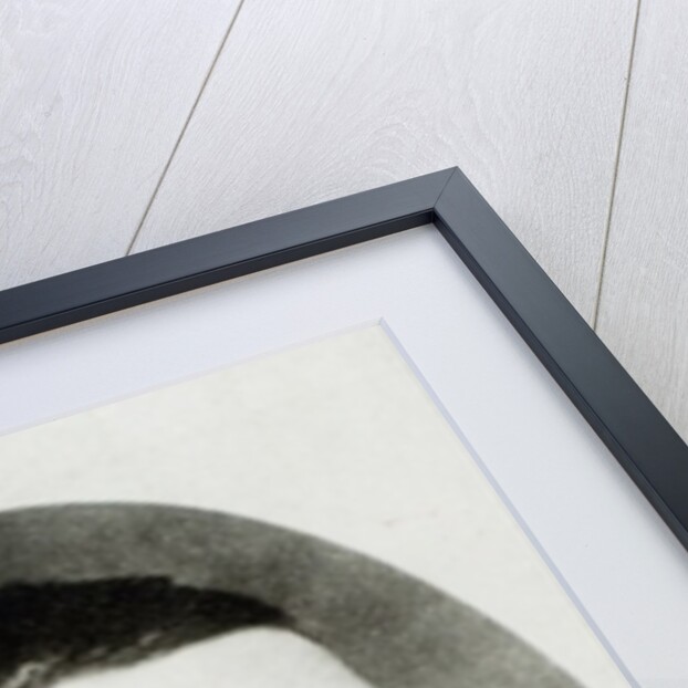 Rudyard Kipling by English Photographer