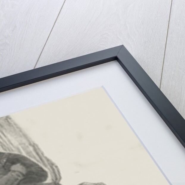 The Euphonia, or Speaking Machine, 1846 by English School