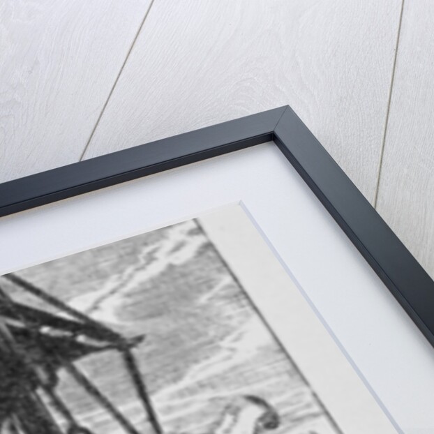 Louis XIII and Richelieu, 1627-8 by Crispin I de Passe