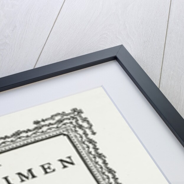 A specimen of Isaiah Thomas's printing types, 1785 by Anonymous