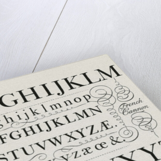 Specimen typefaces by Anonymous
