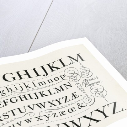 Specimen typefaces by Anonymous