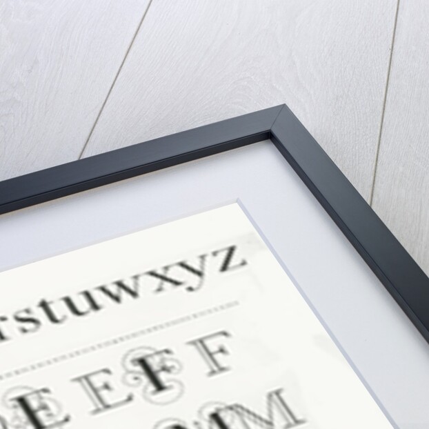 Specimen typefaces by Anonymous