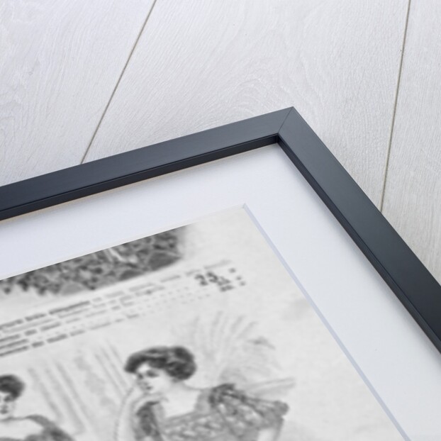 French underwear catalogue c.1900 by School French