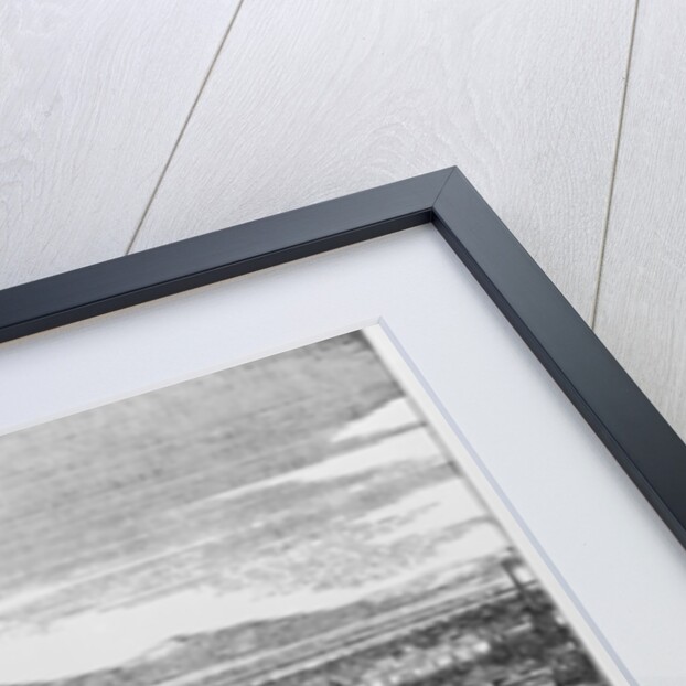 Battle of Vienna, 1683 by Anonymous