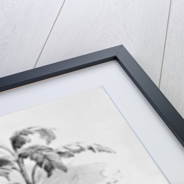 Isaac Van Amburgh taming a lion, 1838-9 by G. E. Madeley