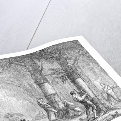 Bark engraved by Charles Laplante by A. Faguet