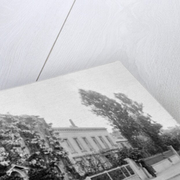 Westwood Cottage Enfield, c.1890 by English Photographer