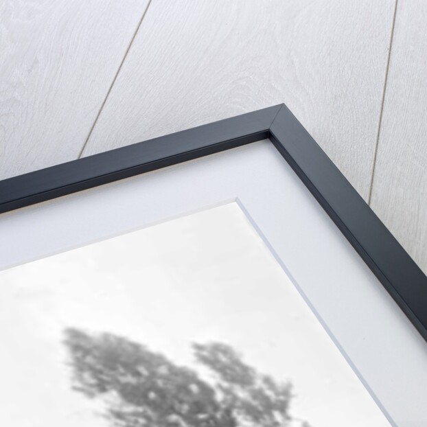 Westwood Cottage Enfield, c.1890 by English Photographer