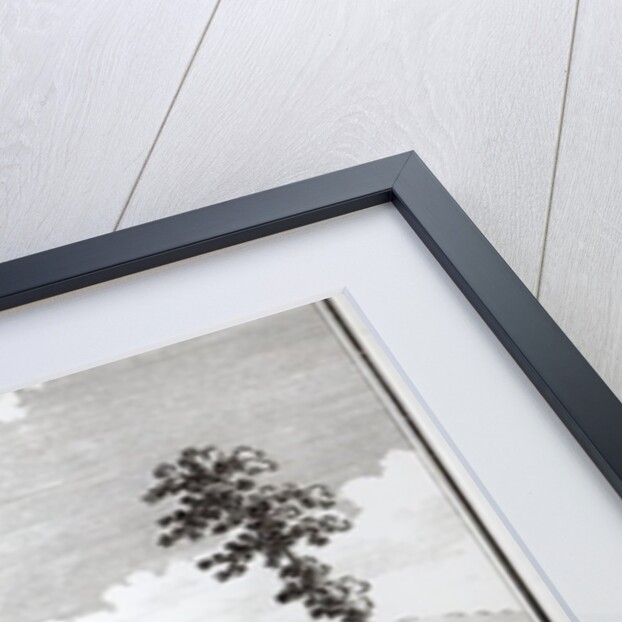 Carisbrook Castle, in the Isle of Wight by School English