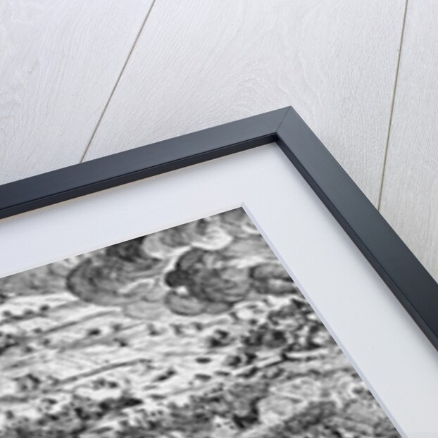 The Swedish victory at the Battle of Lutzen, 1632 by Swedish School