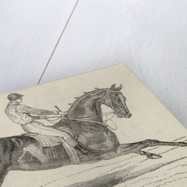 Refraction, the winner of 'The Oaks' by John Frederick Herring Snr