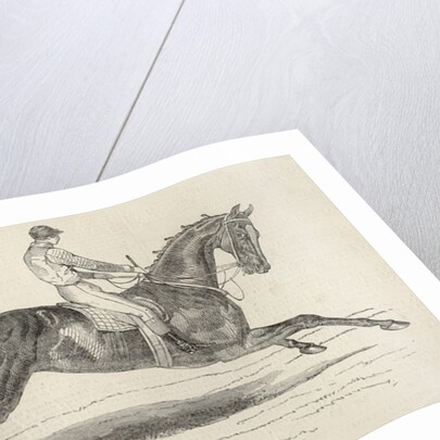 Refraction, the winner of 'The Oaks' by John Frederick Herring Snr