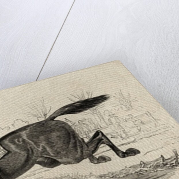 The Harrow Steeple Chase: The Last Brook by English School