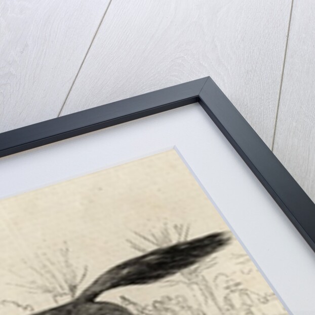 The Harrow Steeple Chase: The Last Brook by English School