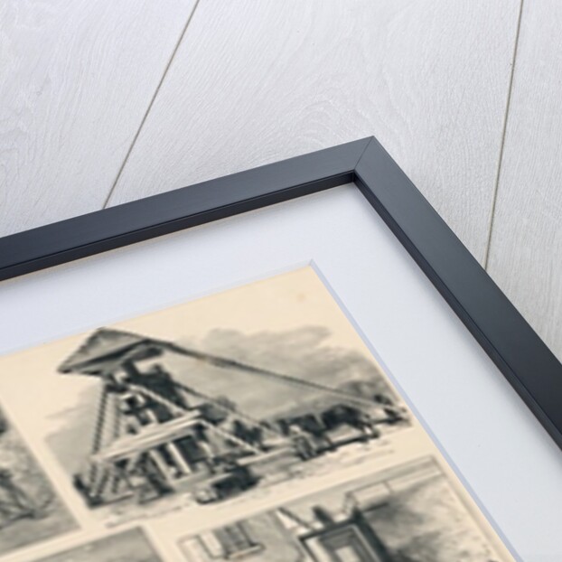 Cotton: its Cultivation and Preparation in America by English School