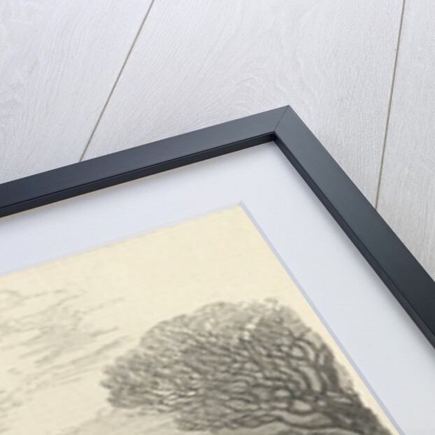 The Queen's Stag Hounds: The Meet, Aylesbury Vale by Edward Duncan