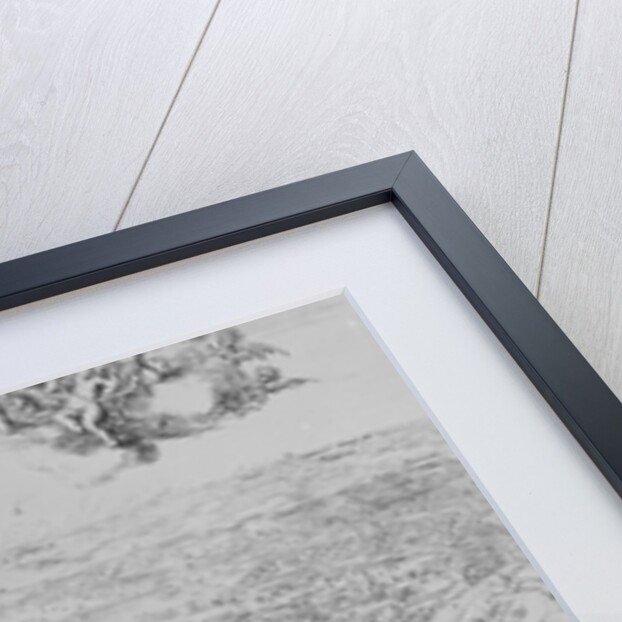 The Siege of Namur, 1695 by Dutch School