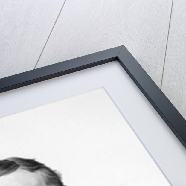 Sir George Otto Trevelyan by School English