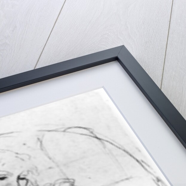 Study for a Madonna with a Cat, c.1478-80 by Leonardo da Vinci