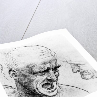 Studies for the heads of two soldiers in 'The Battle of Anghiari', c.1504-05 by Leonardo da Vinci