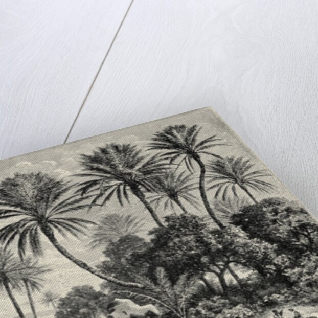 Oasis of Gafsa: Tunis by Charles Barbant