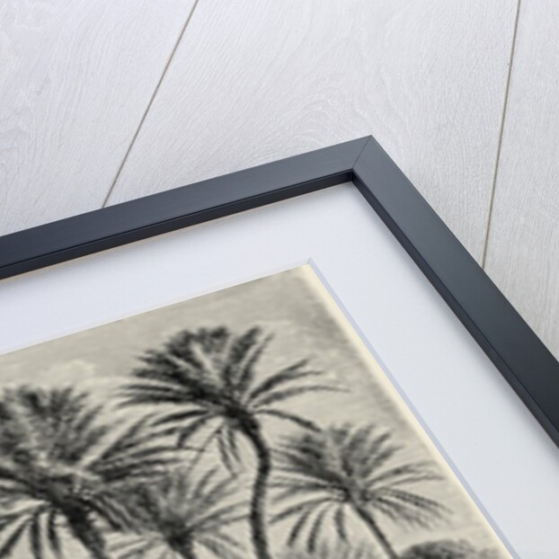 Oasis of Gafsa: Tunis by Charles Barbant