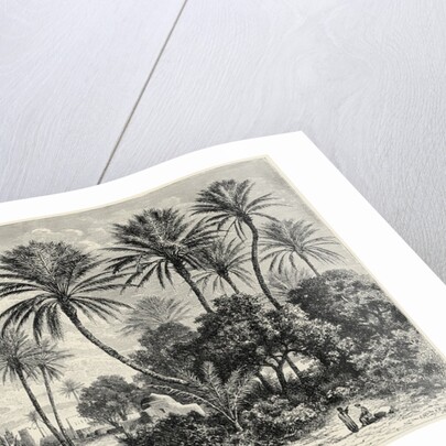 Oasis of Gafsa: Tunis by Charles Barbant