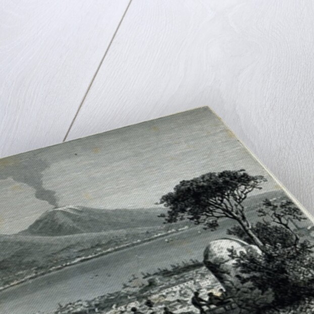 General View of Naples by English School