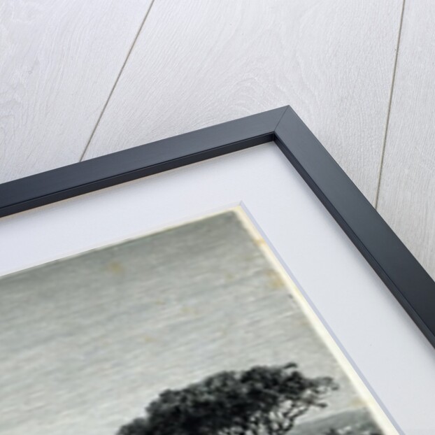 General View of Naples by English School