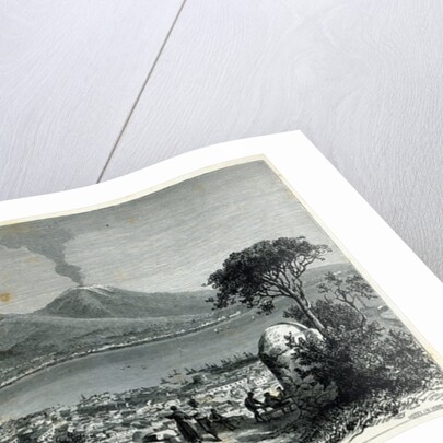 General View of Naples by English School